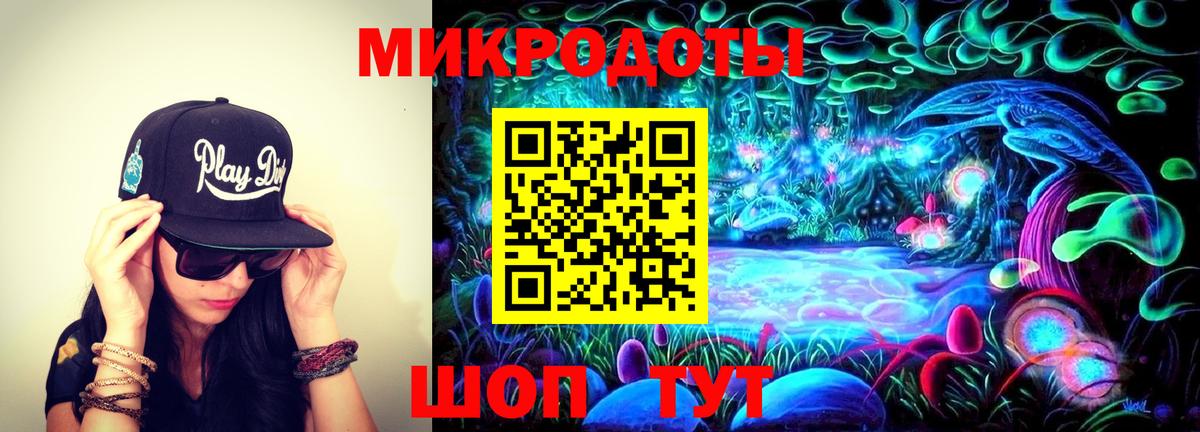 Псилоцибиновые грибы Psilocybe Аксай